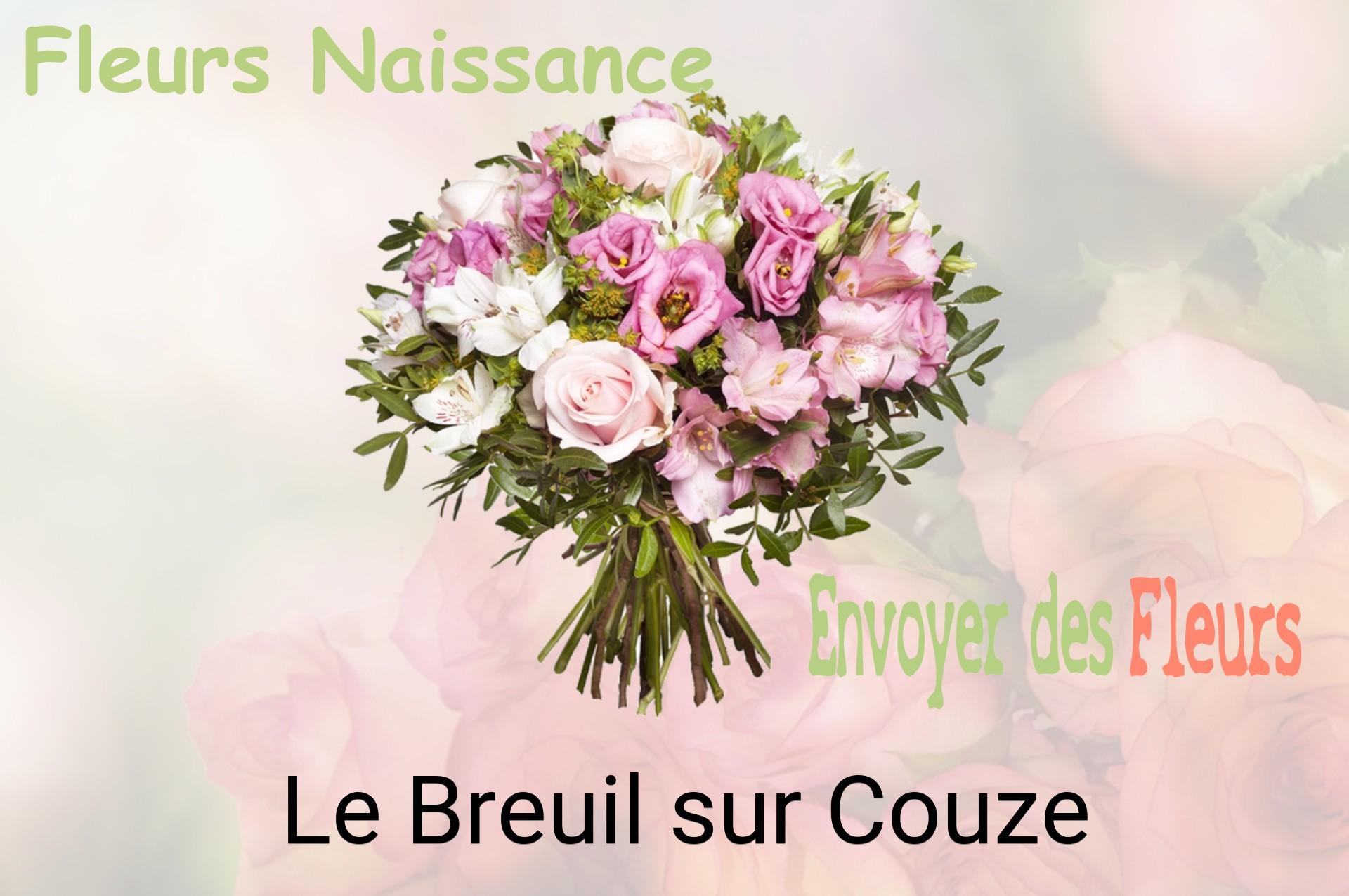 Bouquet de fleurs de naissance livré à Le Breuil-sur-Couze